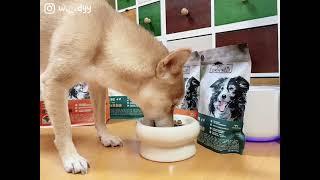 平價狗飼料推薦！紐西蘭高品質天然糧：野宴LIVIN’WILD無穀狗飼料｜小赤柴胡迪的小日子