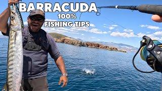 Saltwater Safari 11: Barracuda Fishing Strategies: Everything You Need to Know to Catch More!