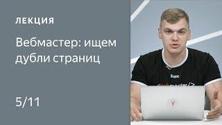 Поисковая оптимизация сайта: Ищем дубли страниц