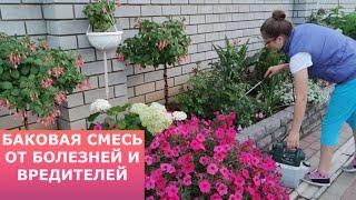 Баковая смесь от болезней и вредителей.