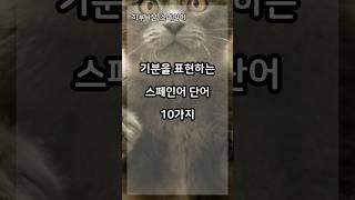 기분을 표현하는 스페인어 단어 10가지 #기초스페인어 #스페인어공부 #스페인어