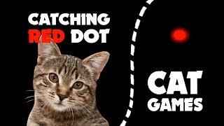 Catching RED DOT LASER for cats  CAT GAMES 1 hour