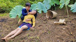 The handsome guy cheated on me when I was harvesting taro alone in the forest