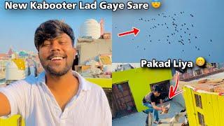 Aaj New Kabooter Lad Gaye Sare Sehdi Se | ESi Tesi kar Di Sehdi ki 