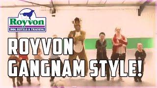 Royvon Dog Trainers in a Funny Gangnam Style Dance