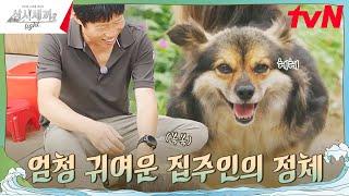 우리의 또 다른 가족 '복구'를 소개합니다~ #삼시세끼Light EP.1 | tvN 240920 방송