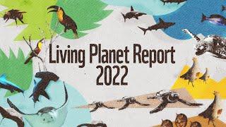 WWF’s 2022 Living Planet Report