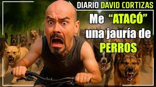 The day a pack of dogs "ATTACKED" me - David Cortizas Diario - 6/16/25