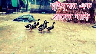 বৃষ্টিমুখর এক গ্রামের বাড়ি A house in a rainy village gram ExpressBD