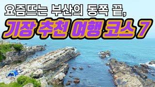 Korea Tour Busan Gijang-gun 7