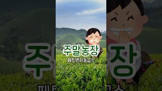 페트병 이용해서 애플수박 자동급수기 만들었어요