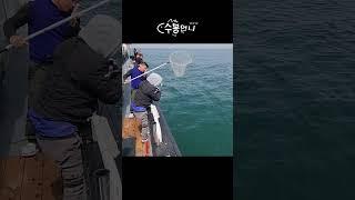 이 여자 낚시 좀 하네???
