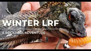 Light Rock Fishing - Winter Sessions 2021/2022 - A Rockpool Adventure