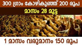 100 കോഴിയുണ്ടെങ്കിൽ ഒരു പണിക്കും പോവേണ്ട, അത് 500 ആയാൽ ?