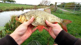 Ultralight Lure Fishing in Dirty Water