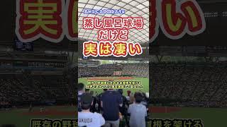 サウナ球場だけど、実は凄い！埼玉秘境にある西武ライオンズ本拠地　#プロ野球 #応援歌 #埼玉県 #応援歌 #阪神タイガース