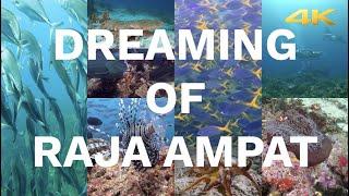 Dreaming of Raja Ampat | Best Scuba Diving in Indonesia | Sorido Bay Resort | West Papua | Sony 4K