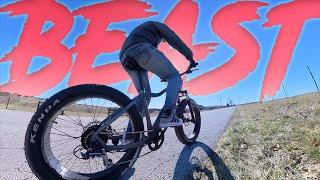 A Fat EBike That Has CRAZY POWER: Beast Mode Vanpowers Manidea