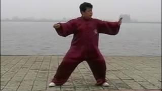 Chen Yu  - Tai Chi style Chen Xinjia Yilu [陈氏太极拳新架 Taijiquan style Chen]