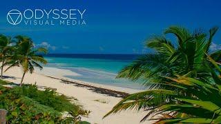 Yucatán Odyssey | Travel Mexico, Guatemala & Belize Adventure | Nature Ruins Underwater Full Length