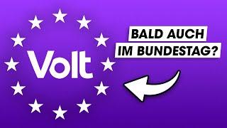 VOLT: Das steckt hinter dem Erfolg!