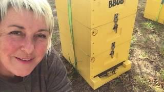 Welcome to 'Australian Women in Beekeeping'