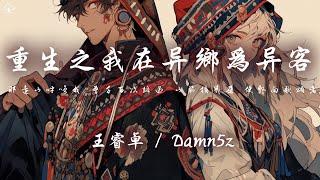 王睿卓/Damn５z - 重生之我在異鄉為異客「那遠山呼喚我 曾千百次路過 山腰摘幾朵 便飄向歌頌者」【動態歌詞/PinyinLyrics】