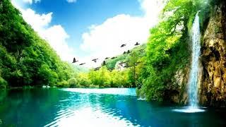 Best Nature status video 2020/nature Love/nature beauty/beautiful places video 2020/latest/trending