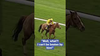 THE CRAZIEST RACE FINISH EVER?  #horseracing #animals #animalshorts #horse #horses #horseshorts