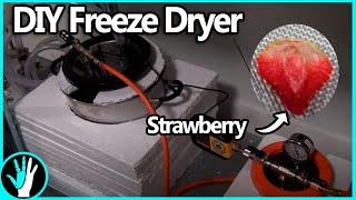 How to Build a Freeze Dryer