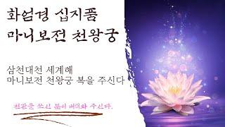 불사할머니 기도문 -  할머니를 연화좌에 올려드림  (화엄경 십지품)