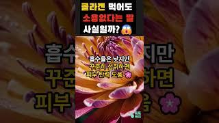 콜라겐, 먹어도 소용없다? 진실은 따로 있다!  #콜라겐 #피부탄력 #주름예방 #건강정보 #피부관리 #생활꿀팁 #짧은건강상식