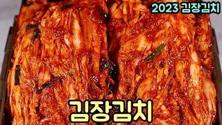 20kg 김장김치 맛있게 담그는법 배추 절이는과정부터 자세하게~ 2023Ver.