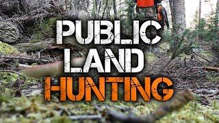 3 Must-Know Public Land Deer Hunting Tips