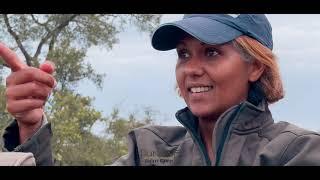 Afrique du Sud: Film Pungwe Safari Camp