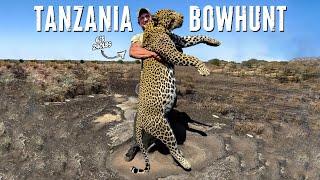 BOWHUNTING A MONSTER Leopard In Tanzania 2024