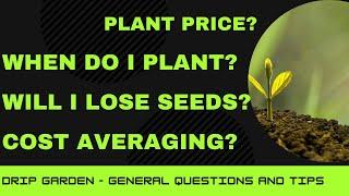 DRIP Garden - Plant Price? - When Do I Plant? - Will I Lose Seeds? - Cost Averaging - Farm Worth It?