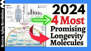 2024 - 4 MOST Promising Longevity Molecules You NEED To KNOW