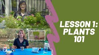 4-H at Home Garden Series: Lesson 1 *Plants 101*