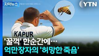 "정말 인생무상이다"...인도 억만장자의 허망한 죽음 [자막뉴스] / YTN