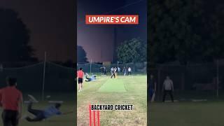 Diving catch in BACKYARD  #trending #backyardcricket #explore #t20 #india #funny #comedy @Rathore55