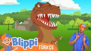 Blippi Dinazorları Öğreniyor - Fosilleri Çıkarmak | Çocuklar için eğitici videolar | Türkçe Dublajlı