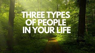 3 Types of People in your Life/ Tree Analogy #life #people #motivation #tree