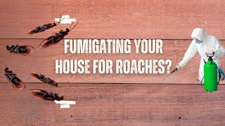 Fumigating Your House for Roaches? (Here's What You Must Know)