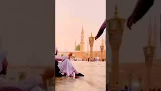 Taiba Madina #viral #shorts #short #shortvideo #viralvideo #video #shortsfeed #new