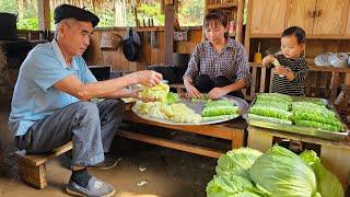 Processing fragrant and soft pork cabbage rolls for sale - Animal care - Family life | Ly Phuc Binh