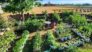 Beautiful Colorful and Bountiful Container Vegetable Garden Tour!