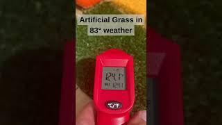 Does Artificial Turf Get Hot? - V Max Artificial Grass Turf 3/4 Inch with 5mm Pad Test