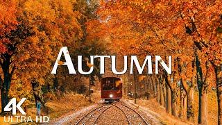 Autumn 4K - Scenic Relaxation Film with Beautiful Piano Music - 4K Video UltraHD