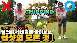 1:2비율 칩샷레슨 | ALL ABOUT CHIPPING!